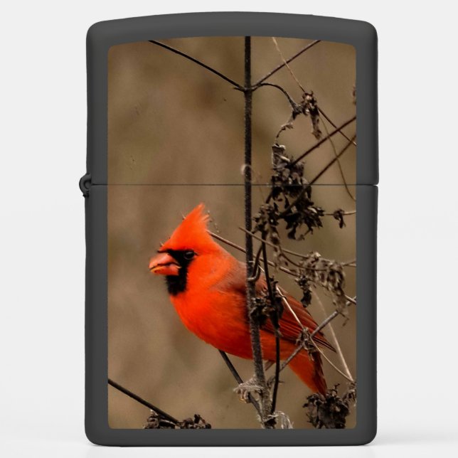 Beautiful Northern Cardinal  Zippo Lighter (Front)