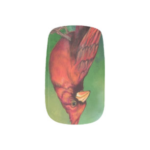 Beautiful Northern Red Cardinal Bird Painting Art  Minx Nail Art