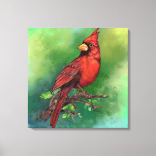 Beautiful Northern Red Cardinal Bird Painting Canvas Print