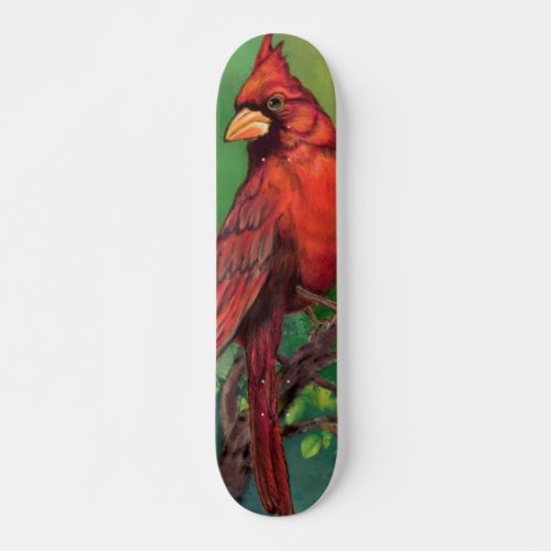 Beautiful Northern Red Cardinal Bird Painting _ Skateboard