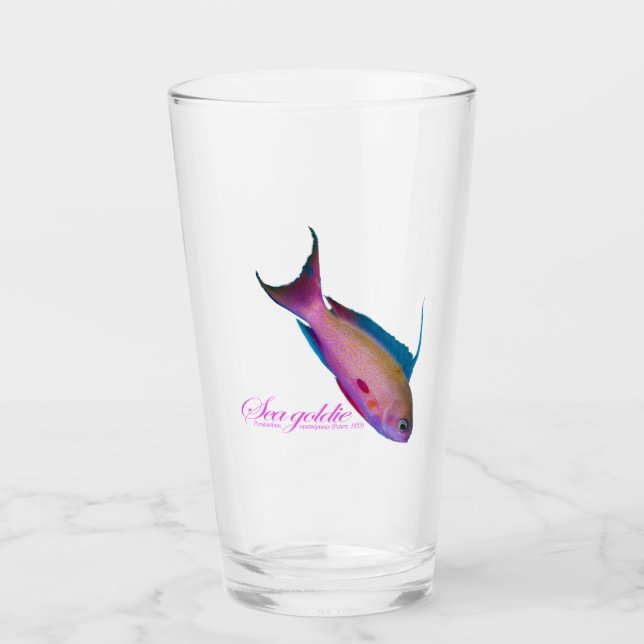 Beautiful nuptial coloring for the Sea goldy Glass (Front)
