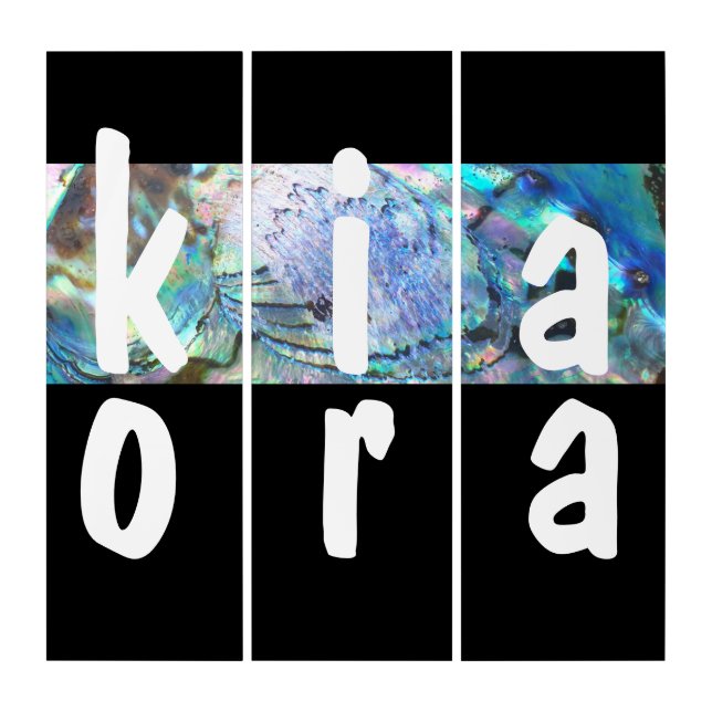 BEAUTIFUL NZ PAUA ABALONE KIA ORA KIWI NEW ZEALAND TRIPTYCH (Front)