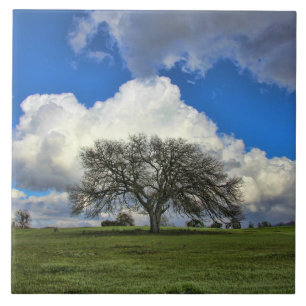 Beautiful Oak Tree with Clouds Nature Ceramic Tile
