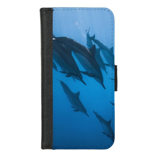 Beautiful Ocean Creatures iPhone Wallet Case (Front)
