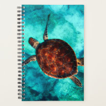 Beautiful-Ocean Swimming Large-Brown Turtle
