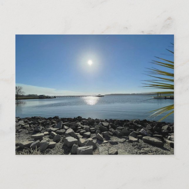 Beautiful Ocean View  Postcard (Front)