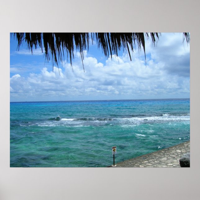 Beautiful Oceanview Poster (Front)