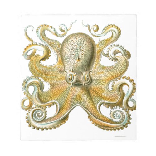 Beautiful octopus picture by Haeckel Notepad