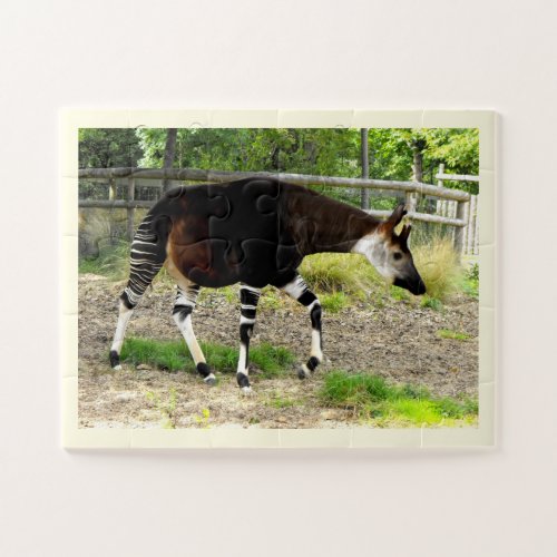 Beautiful Okapi Jigsaw Puzzle