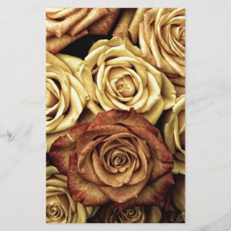 Beautiful Old Roses
