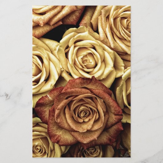 Beautiful Old Roses (Front)