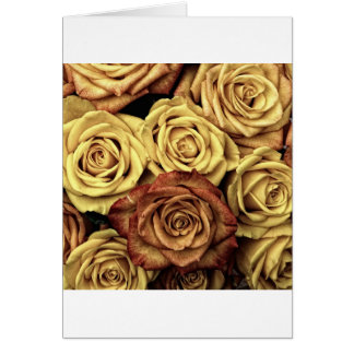 Beautiful Old Roses Cards