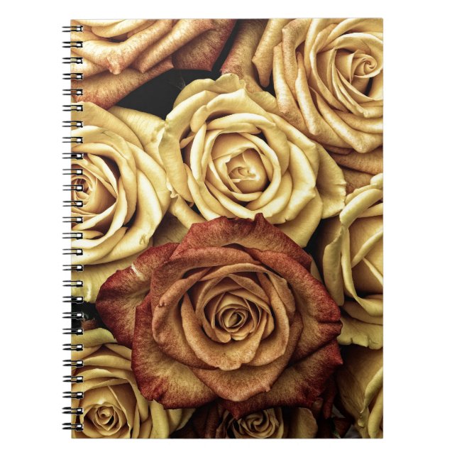 Beautiful Old Roses Notebook (Front)