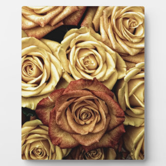 Beautiful Old Roses Plaque