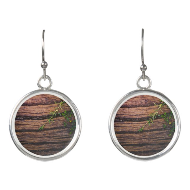 beautiful old wood earrings (Front)