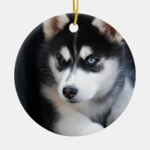 Beautiful One Blue Eye Siberian Husky 2 Ceramic Ornament