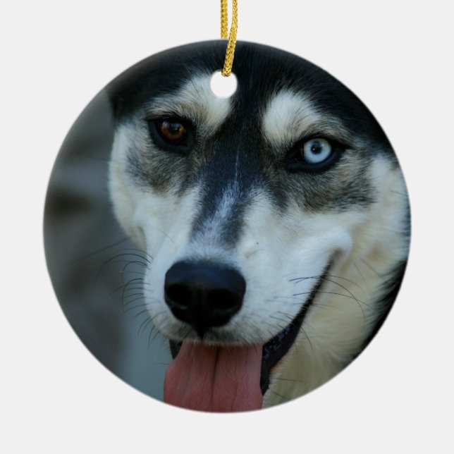 Beautiful One Blue Eye Siberian Husky Ceramic Ornament (Front)
