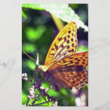 Beautiful Orange and Black Spotted Butterfly