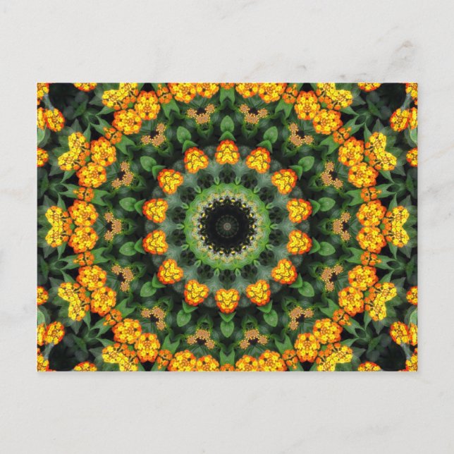 Beautiful Orange and Yellow Lantana Kaleidoscope 2 Postcard (Front)