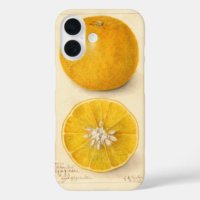 Beautiful Orange Artwork Case-Mate iPhone Case (Back)