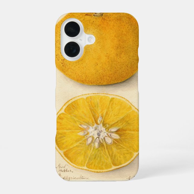 Beautiful Orange Artwork Iphone Case (Back)