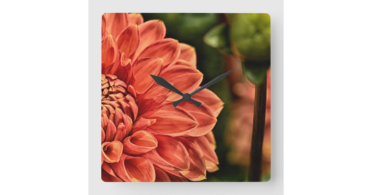 Buy Pastel Peach Dahlia Flower Square Wall Art Print