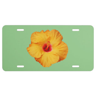 Beautiful orange hibiscus flower license plate