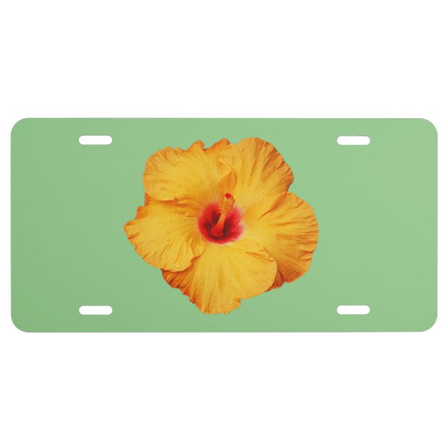 Beautiful orange hibiscus flower license plate (Front)