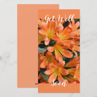 Beautiful Orange Kaffir Lily Flowers Holiday Card