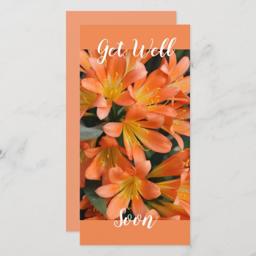 Beautiful Orange Kaffir Lily Flowers Holiday Card