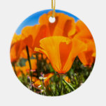 Beautiful Orange Poppy Flowers In A Field Ceramic Ornament at Zazzle