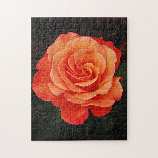 Beautiful orange rose print puzzle (Vertical)
