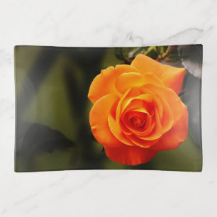 Beautiful Orange Rose Trinket Tray