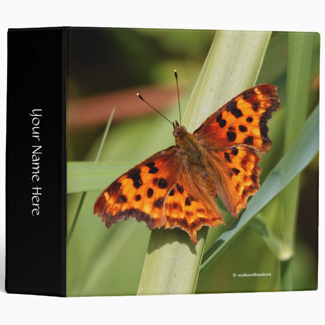 Beautiful Orange Satyr Comma Butterfly 3 Ring Binder (Front/Spine)