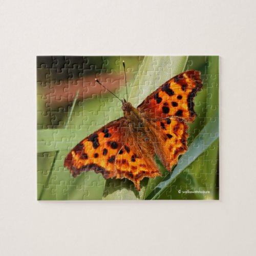 Beautiful Orange Satyr Comma Butterfly Jigsaw Puzzle