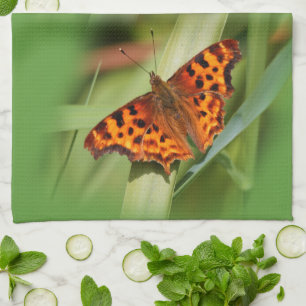 Beautiful Orange Satyr Comma Butterfly Kitchen Towel