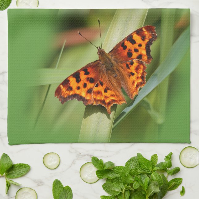 Beautiful Orange Satyr Comma Butterfly Kitchen Towel (Folded)