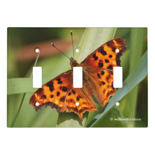 Beautiful Orange Satyr Comma Butterfly Light Switch Cover