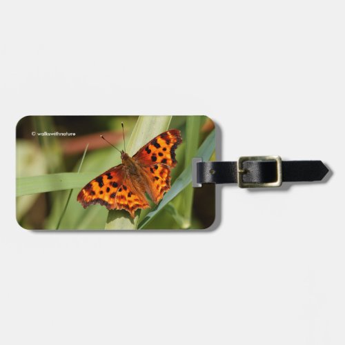 Beautiful Orange Satyr Comma Butterfly Luggage Tag
