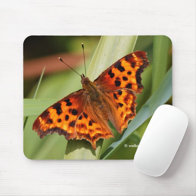 Beautiful Orange Satyr Comma Butterfly Mouse Pad (With Mouse)