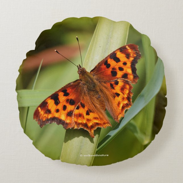 Beautiful Orange Satyr Comma Butterfly Round Pillow (Front)
