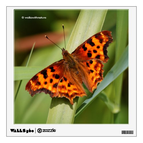 Beautiful Orange Satyr Comma Butterfly Wall Decal