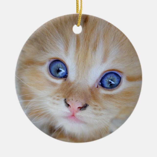 Beautiful Orange Tabby Kitten Ceramic Ornament (Front)