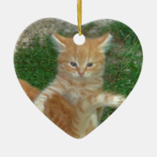Beautiful Orange Tabby Kitten Ceramic Ornament