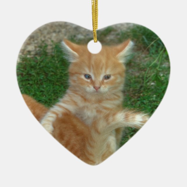 Beautiful Orange Tabby Kitten Ceramic Ornament (Front)