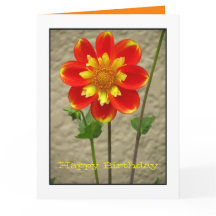 Beautiful Orange Yellow Flower