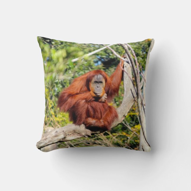 Beautiful Orangutan photo Throw Pillow (Front)
