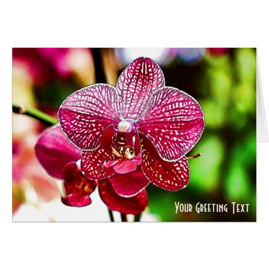 Beautiful Orchid Greeting Card (Front Horizontal)