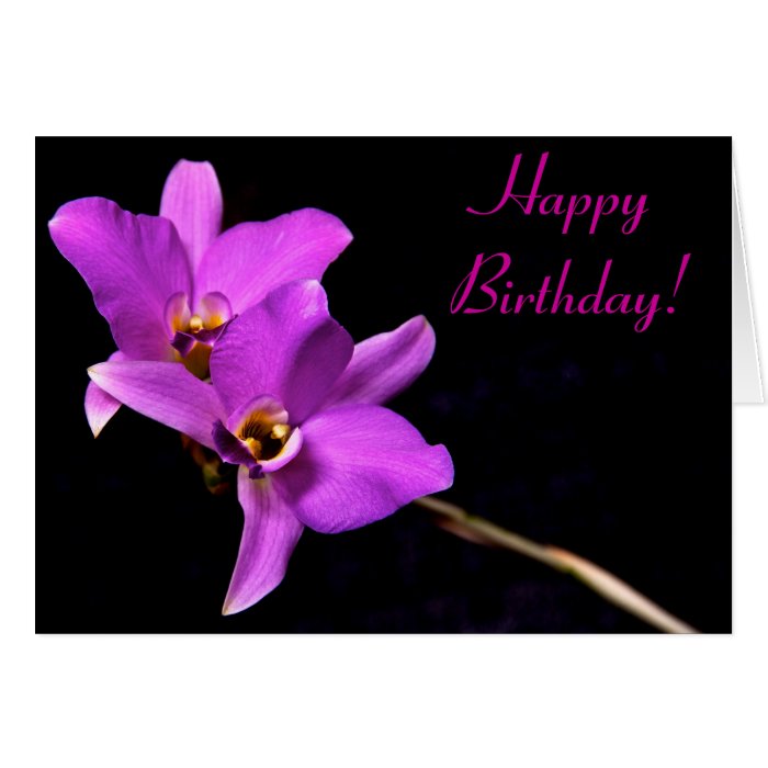 Beautiful Orchid Happy Birthday Card