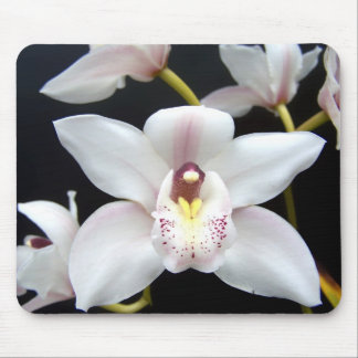 Beautiful Orchid Mouse Pad